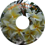 sounds_of_africa_at_ica_-_3rd_ed_-_disc.png