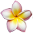 favicon.ico