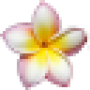 favicon.png