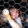 07-img_20200731_201231082.jpg