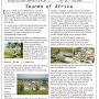 sheas_2007-06_sounds_of_africa.png